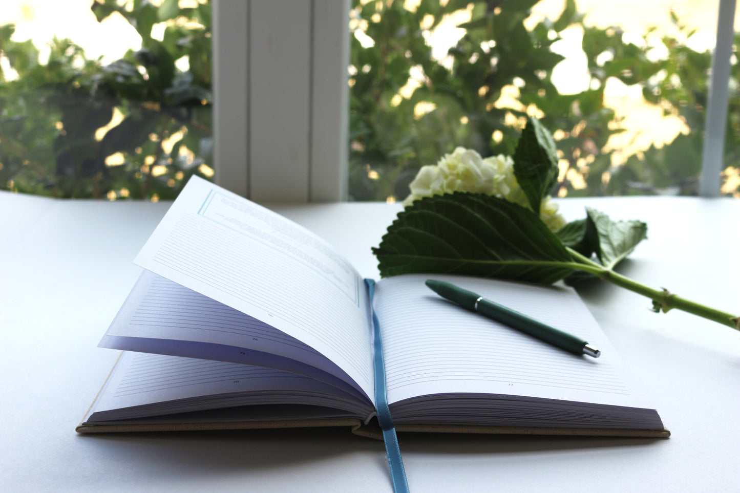 Blessings in Beginnings: A Guided Journal for Relocation