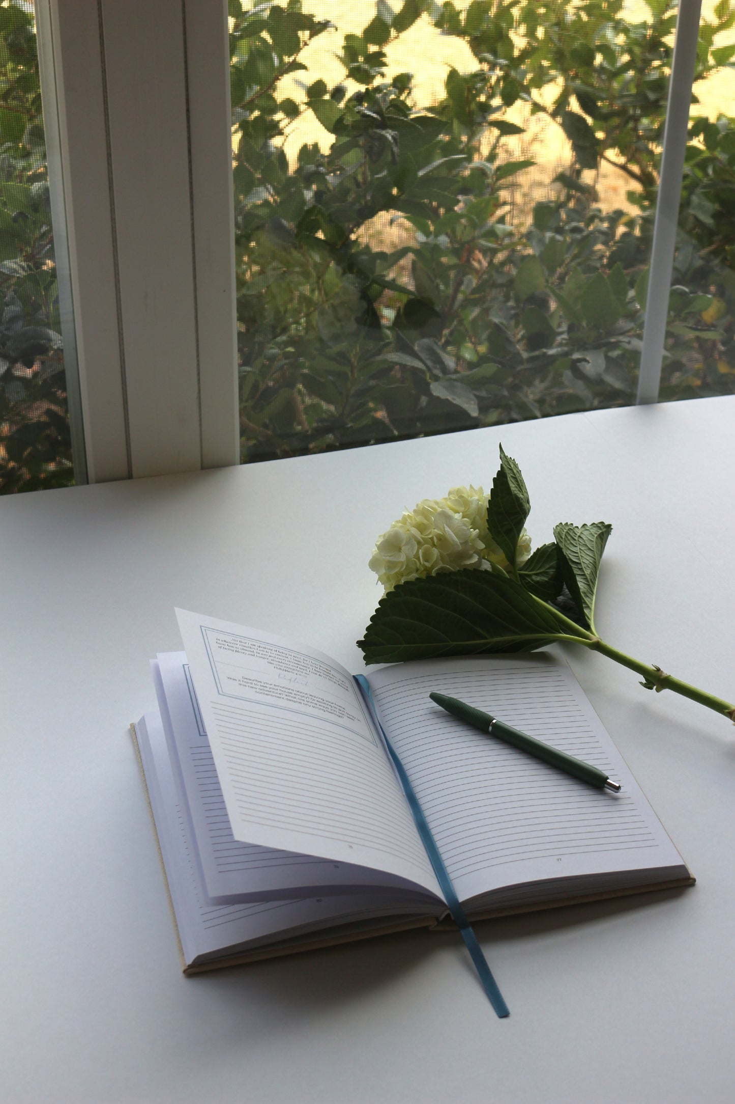 Blessings in Beginnings: A Guided Journal for Relocation